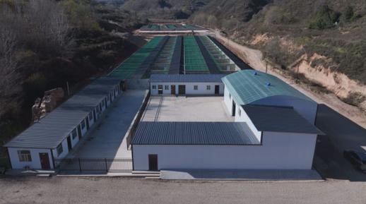 华亭 千只林麝养殖基地建设项目稳步推进，益诚科技引领产业新发展